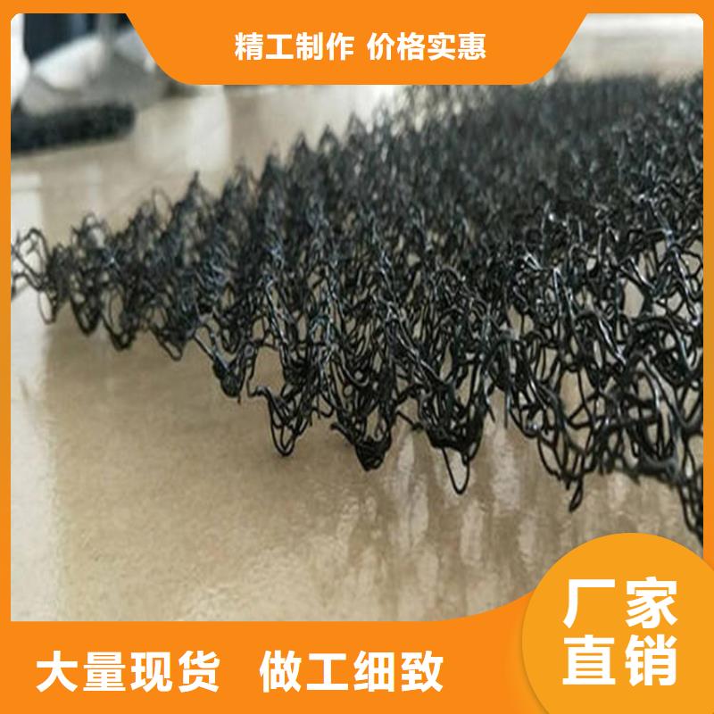 水土保护毯HDPE土工膜实拍展现一手价格