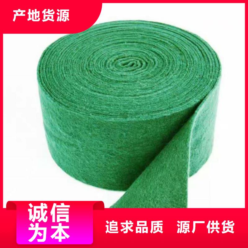 【裹树布】土工膜快速生产品牌大厂家