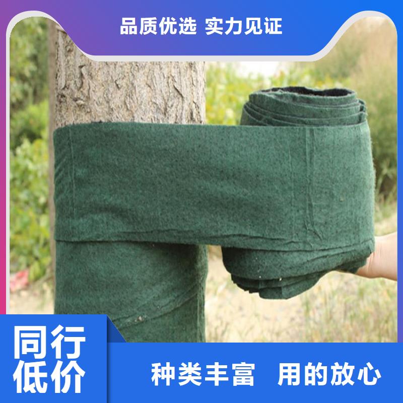 裹树布,土工格栅做工精细当地经销商