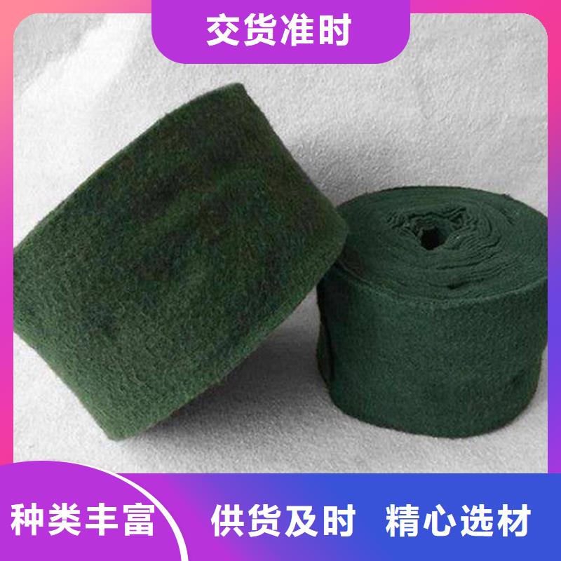 裹树布【塑料格栅】实拍品质保障品质优良