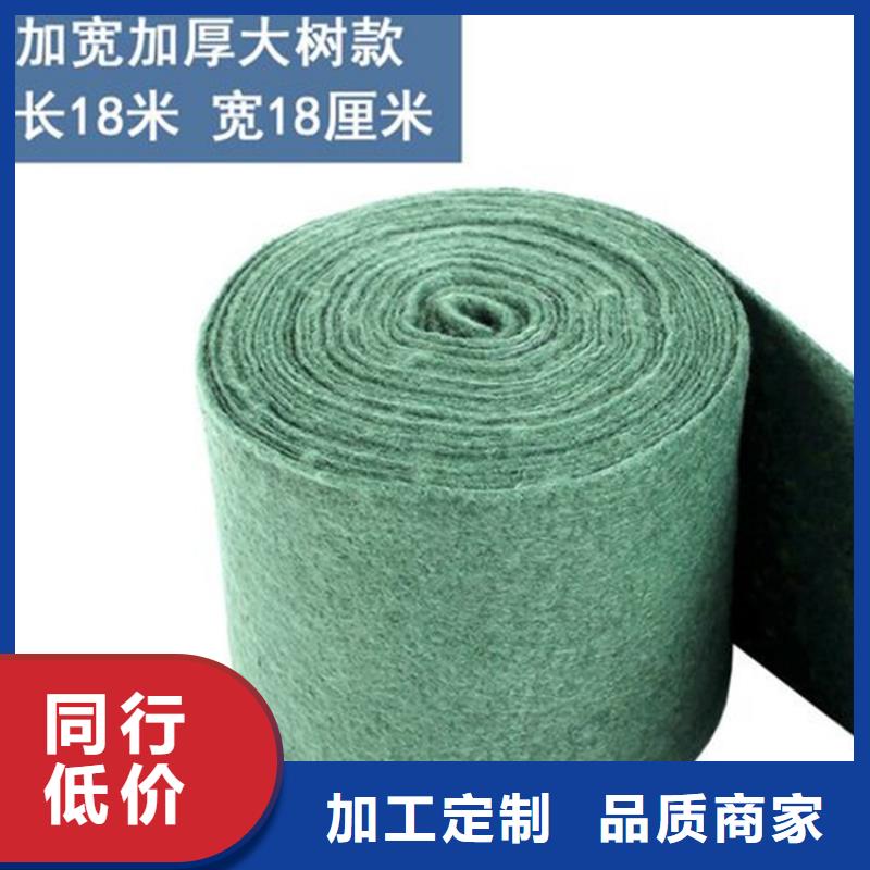 裹树布双向塑料土工格栅专业品质多年行业积累