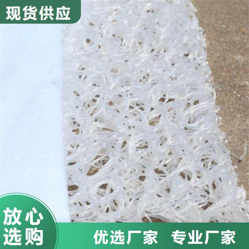 土工席垫土工格栅一站式采购商家品质可靠