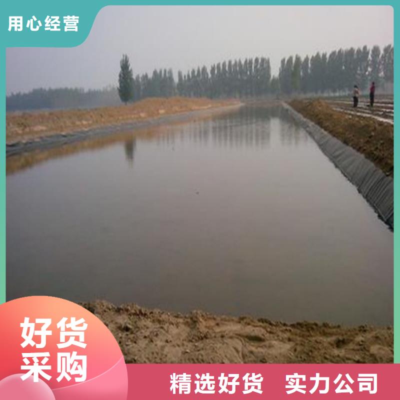 高密度聚乙烯土工膜支持定制批发