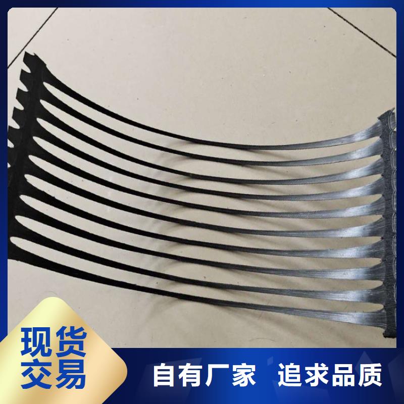 塑料双向土工格栅-单向拉伸土工格栅厂家供应