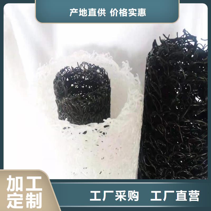 襄阳塑料盲沟三维植被网厂家直接面向客户真材实料