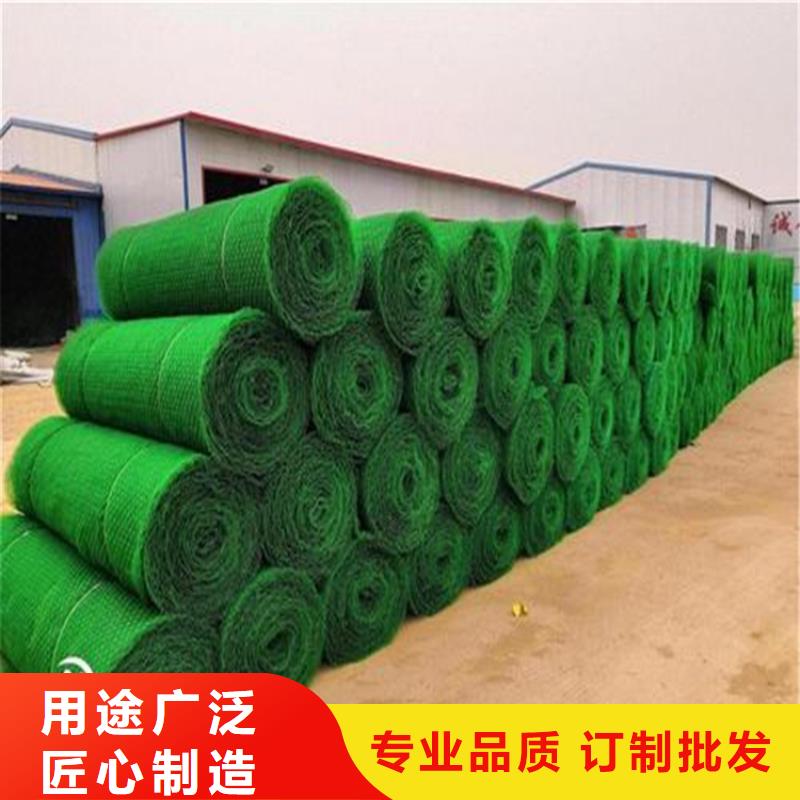 襄阳三维植被网网格布现货齐全售后无忧专业按需定制
