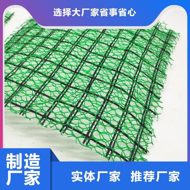 塑料护坡三维植被网批发价格