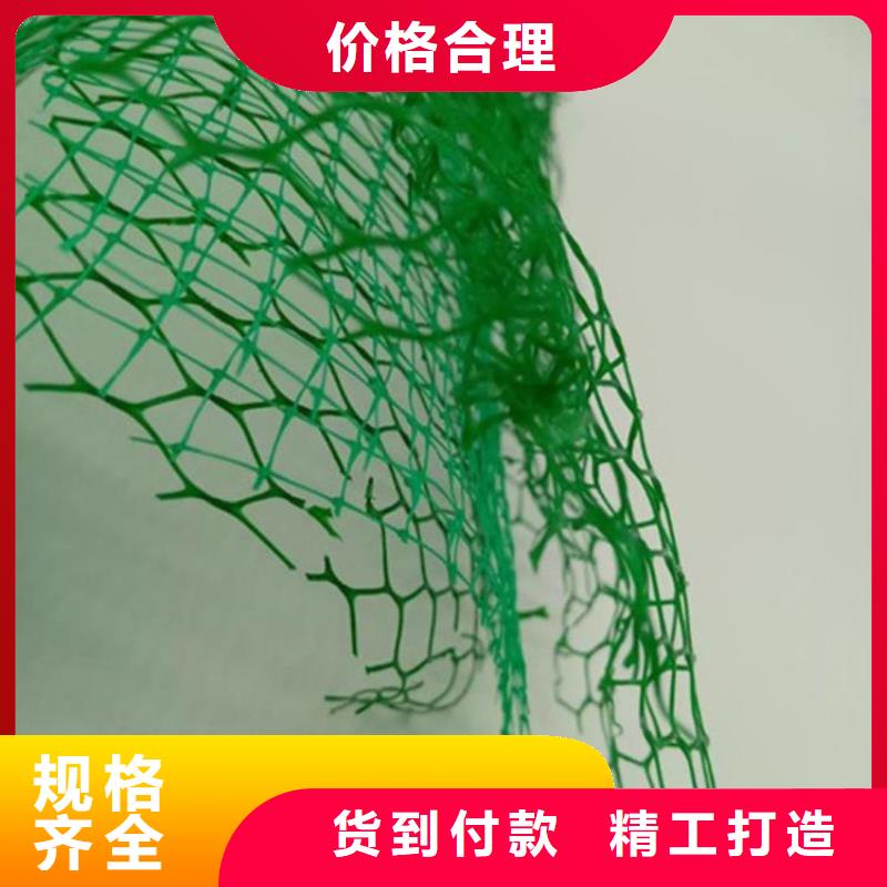 三维植被网【土工布】货到付款性价比高