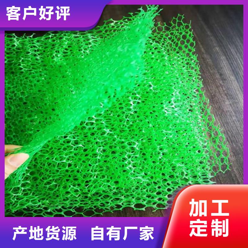 三维土工网垫#草皮护坡一站式供应