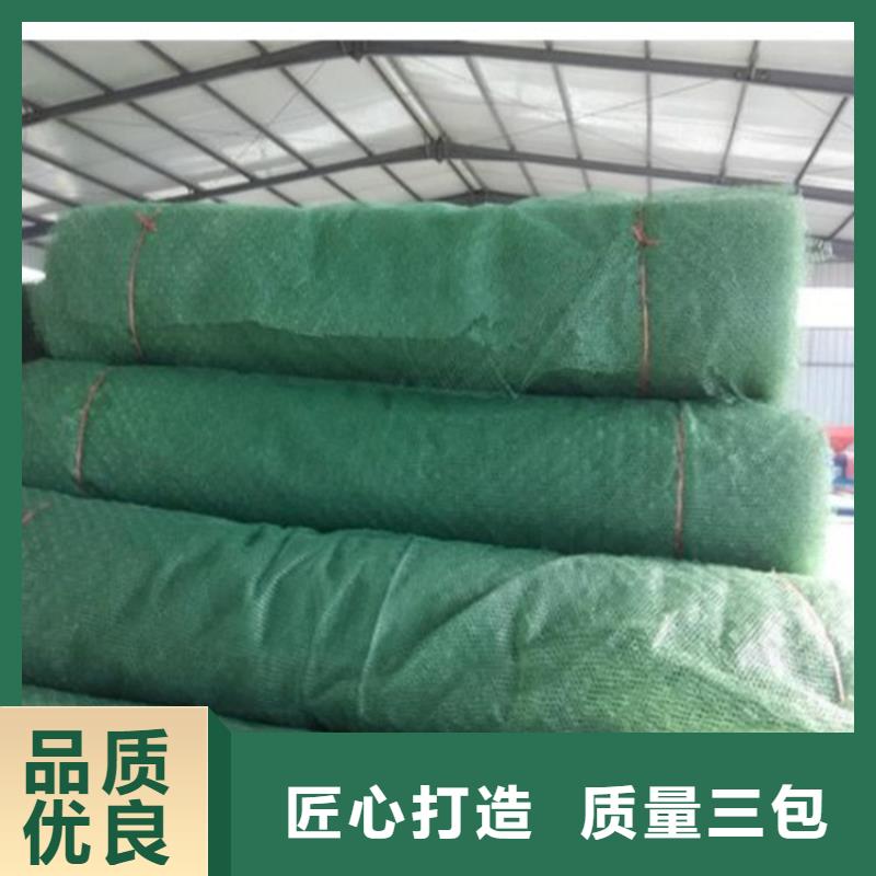 EM5加筋三维加筋土工网垫市场行情