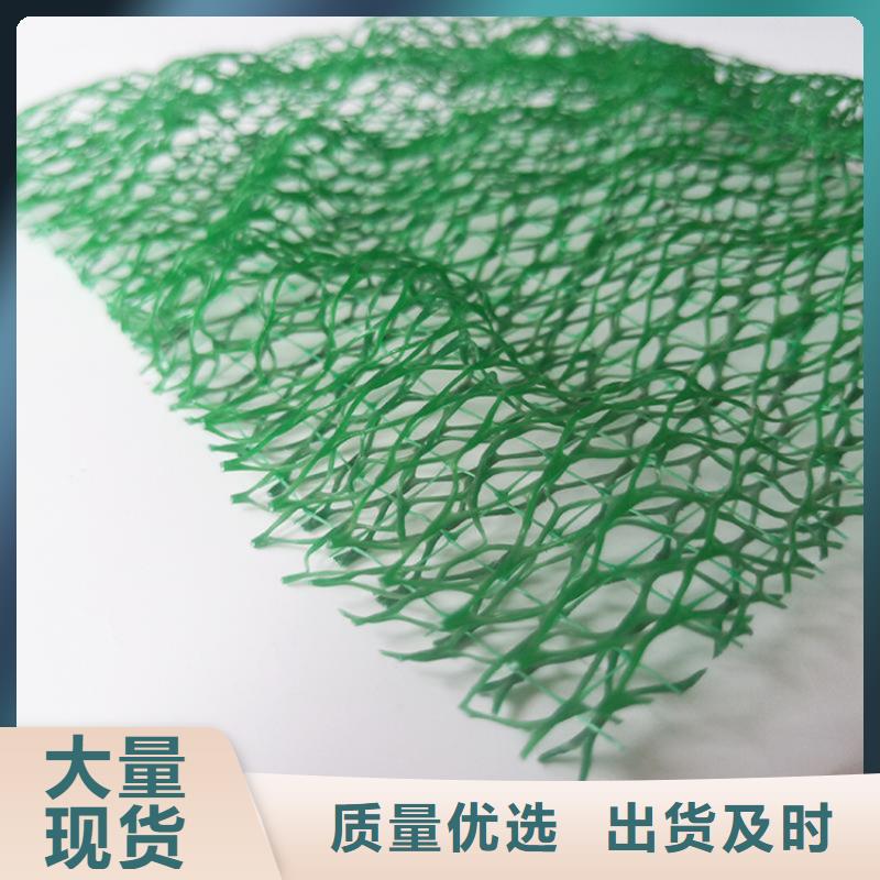 三维植被网塑料格栅匠心打造库存齐全厂家直供