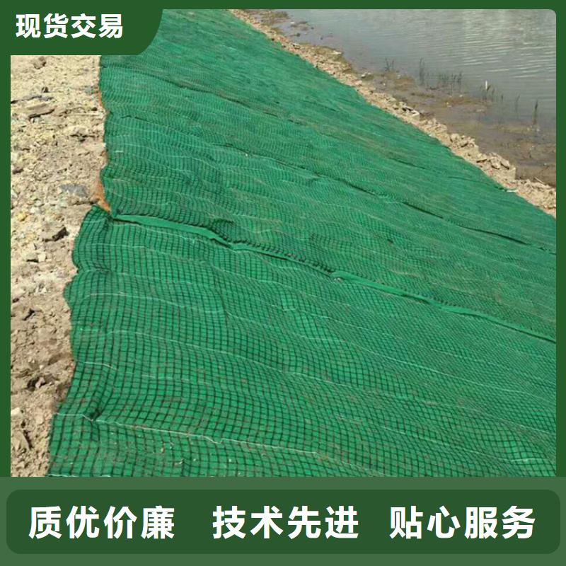 椰纤植生毯-护坡植被植草毯-护坡绿化植草毯用的放心