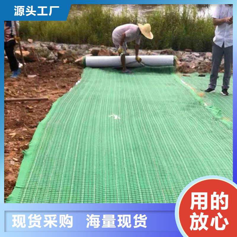 护坡植被植草毯椰丝植物毯多种优势放心选择