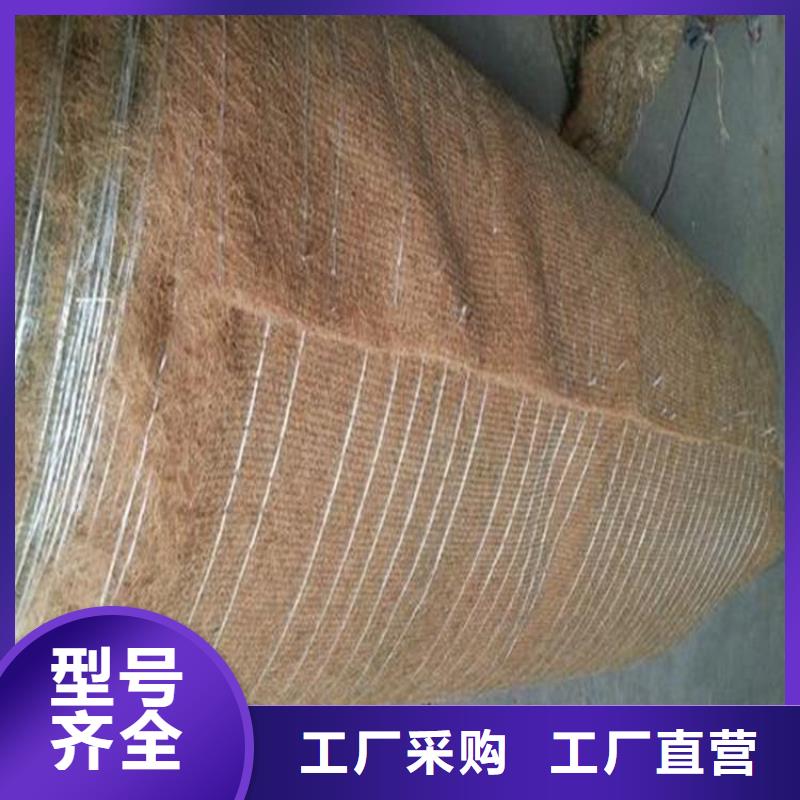 加筋抗冲生态毯-生态环保草毯本地公司