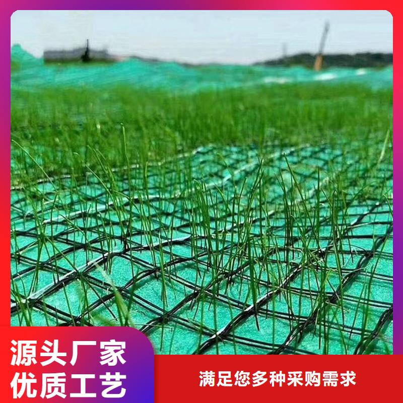 椰纤植生毯-生态环保草毯量大更优惠