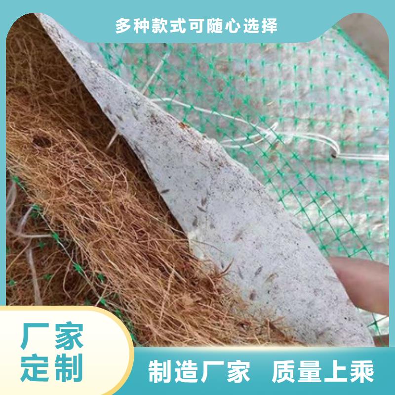 植生椰丝毯-加筋抗冲生物毯厂家价格材质实在