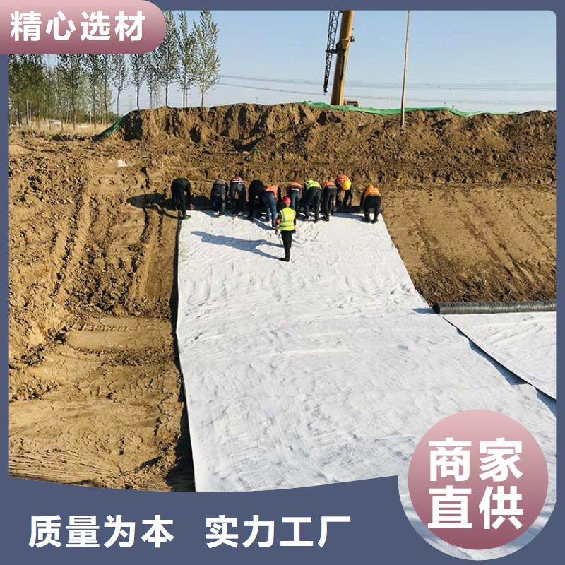 襄阳膨润土防水毯聚酯布高性价比精心打造