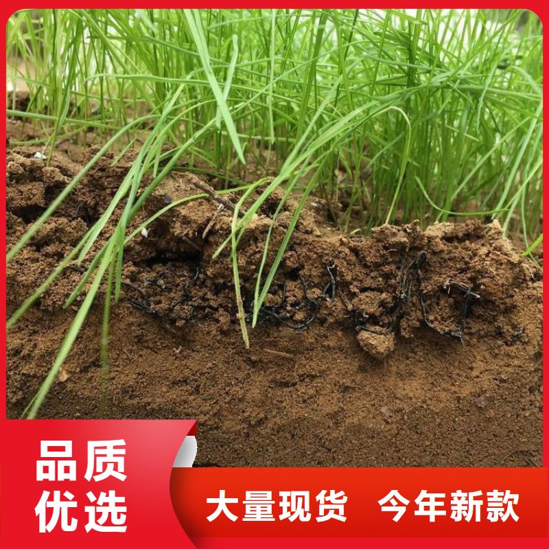 水土保护毯HDPE土工膜自有厂家发货及时