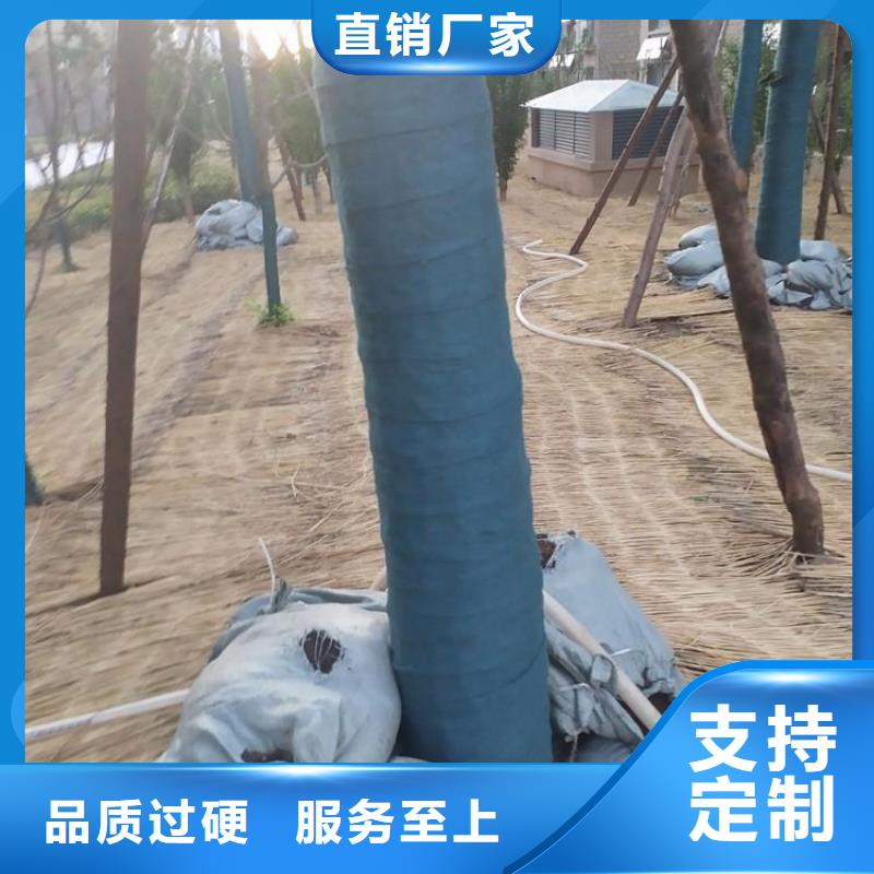 裹树布土工布价格地道厂家新品