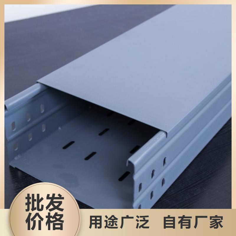 生产钢制桥架_优质厂家当地供应商