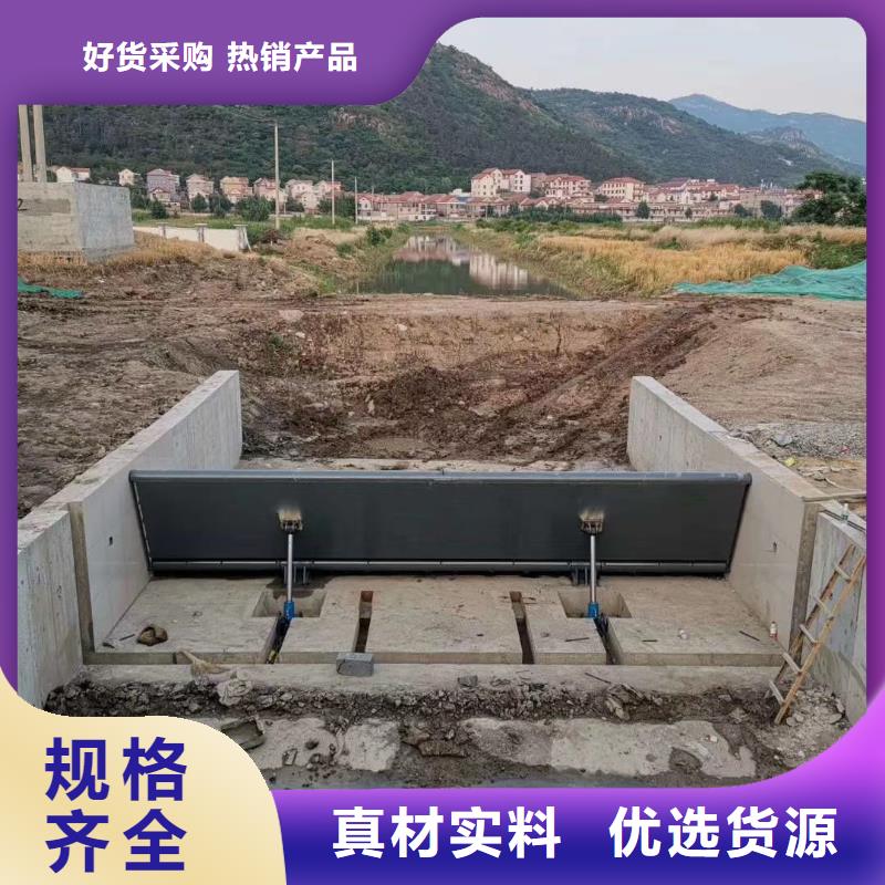 翻板闸门闸门启闭机严谨工艺厂家直销