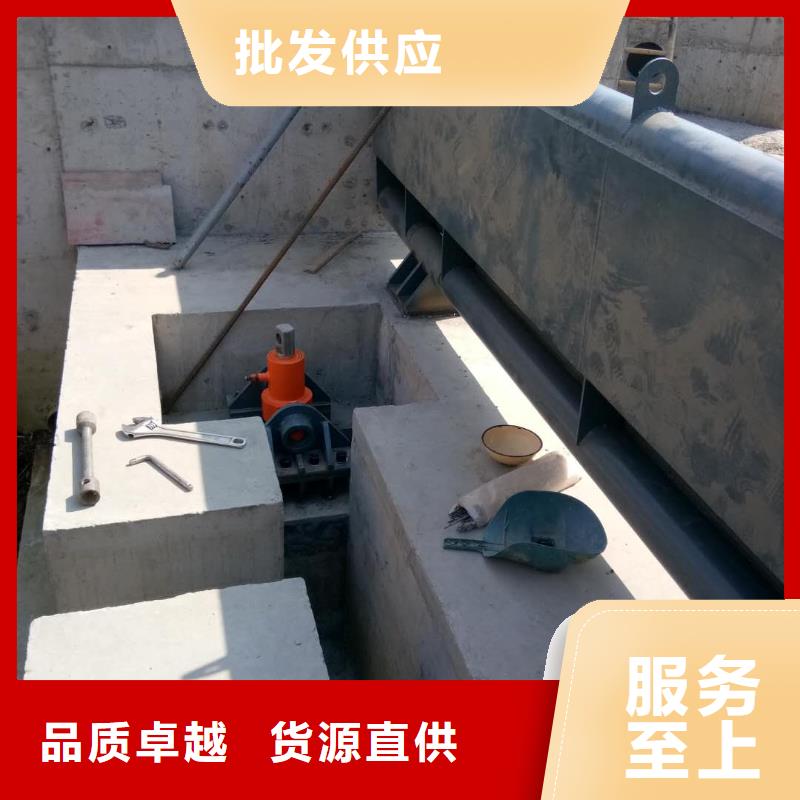 淮滨县自动翻板闸门当地品牌