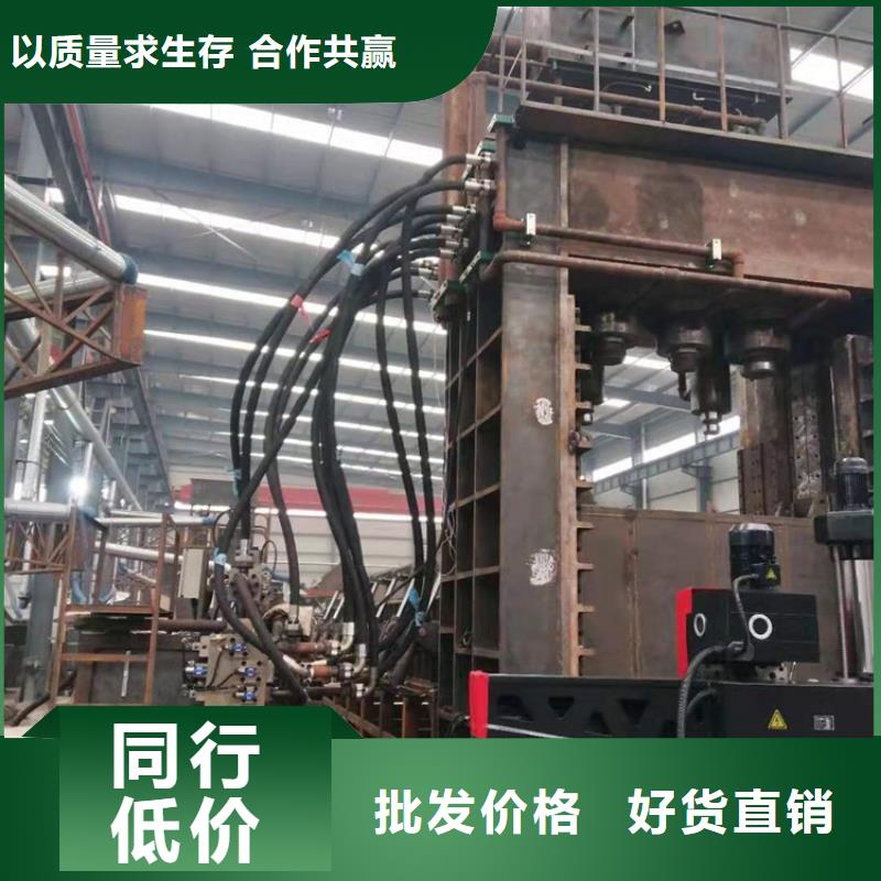 龙门剪卧式金属压块机核心技术当地制造商