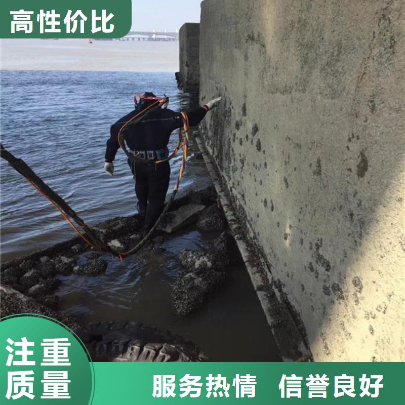 电厂闸门水下维修检查公司附近有吗本地供应商