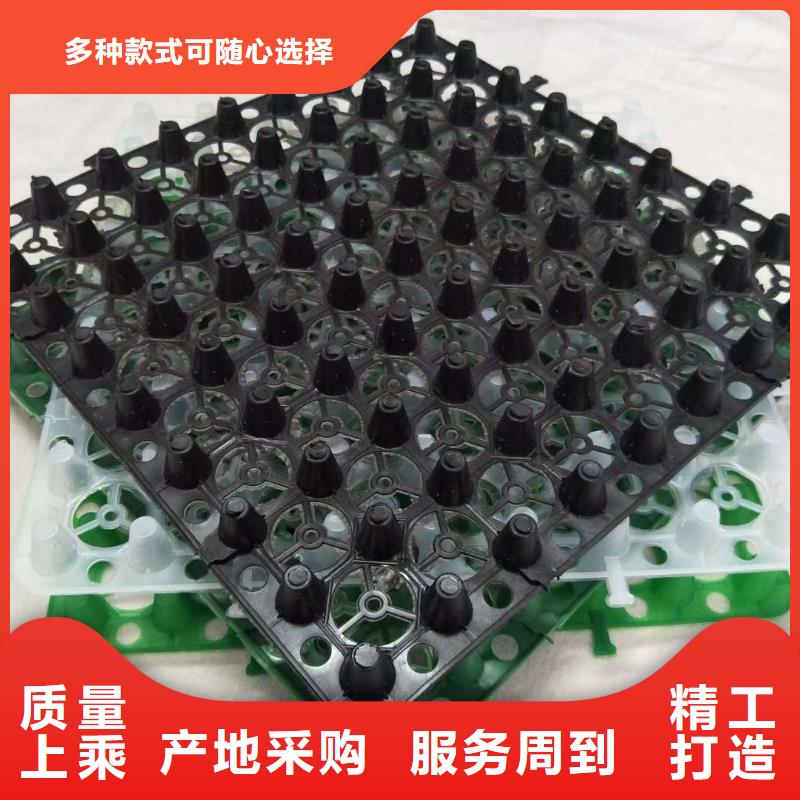排水板疏水板把实惠留给您优选好材铸造好品质
