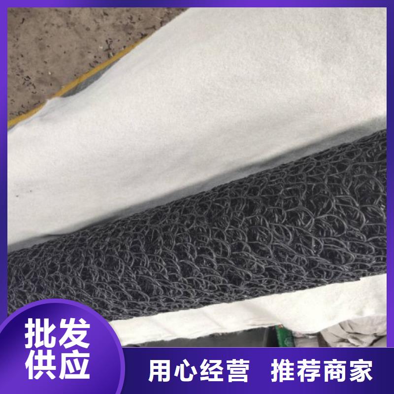 塑料盲沟土工膜研发生产销售本地生产厂家
