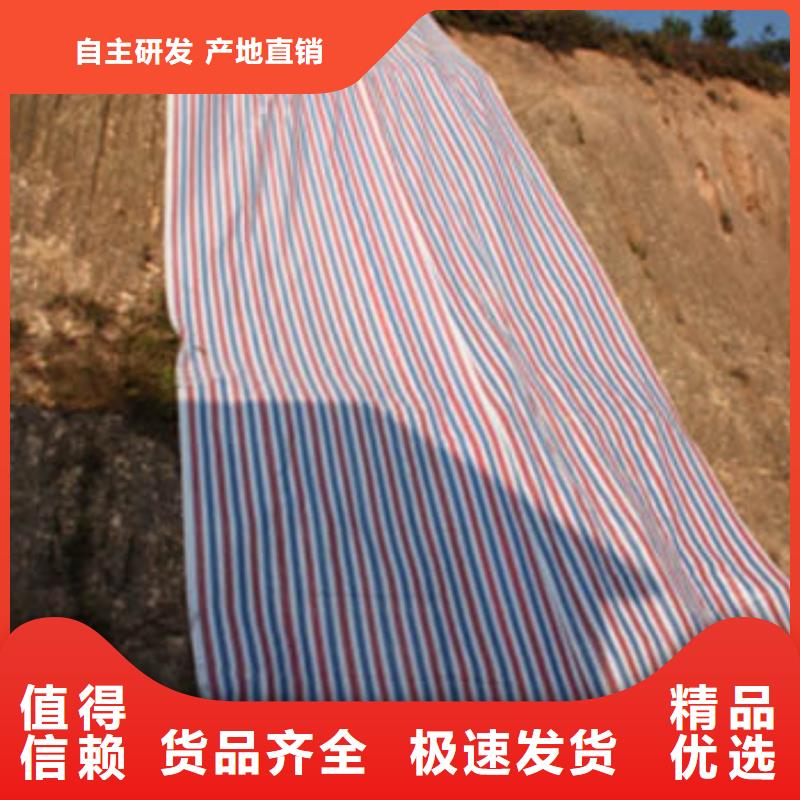彩条布油布信誉有保证专业生产厂家