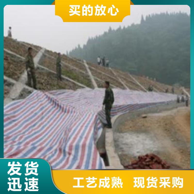 PE聚乙烯彩条布、PE聚乙烯彩条布厂家_大量现货现货充足