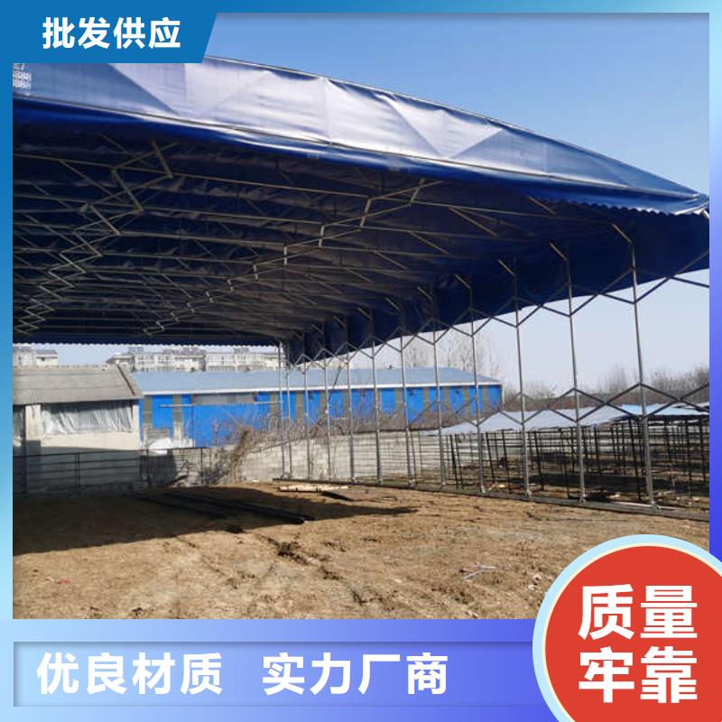 雨棚推拉雨棚匠心打造厂家经验丰富