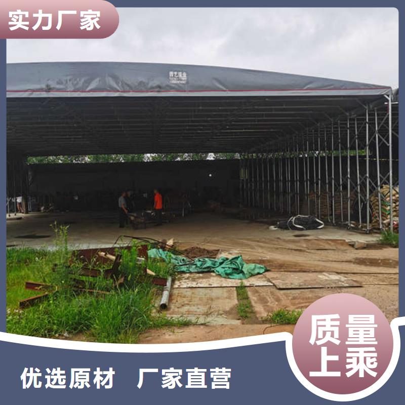 电动雨棚品质放心本地厂家