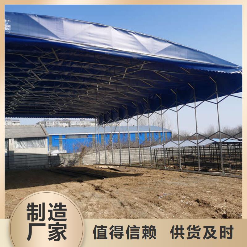 雨棚临时车间帐篷现货批发厂家直营