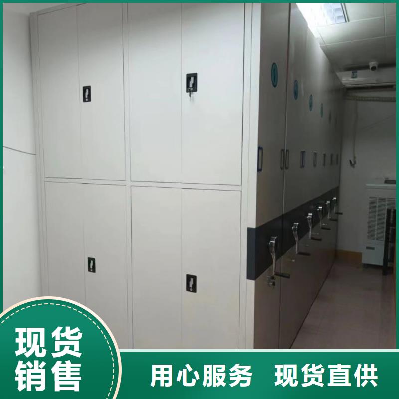 实力厂家【泽信】双柱密集架用心制造