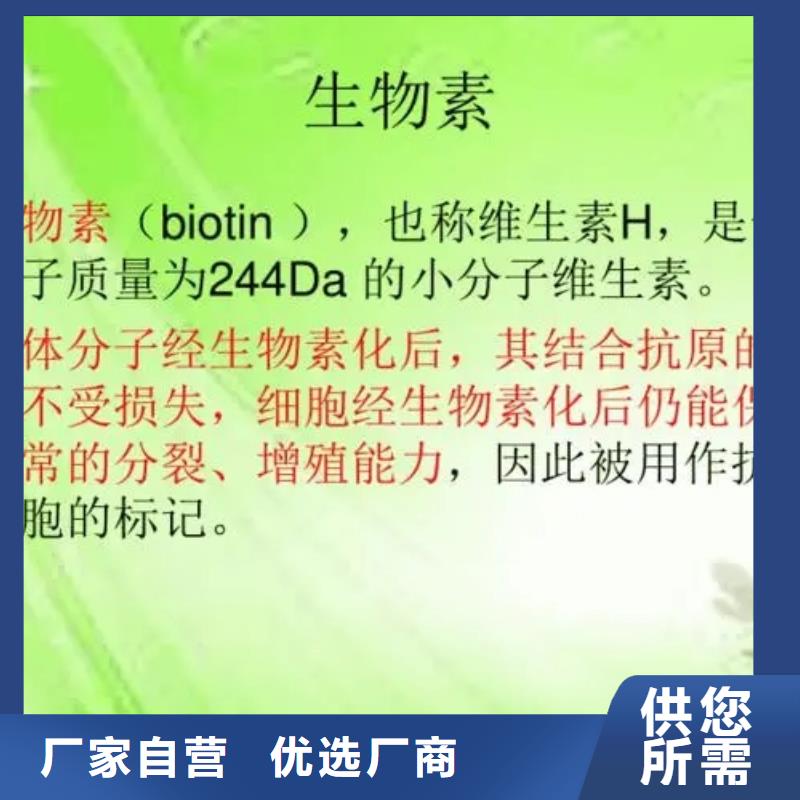 生物素批发一站式厂家