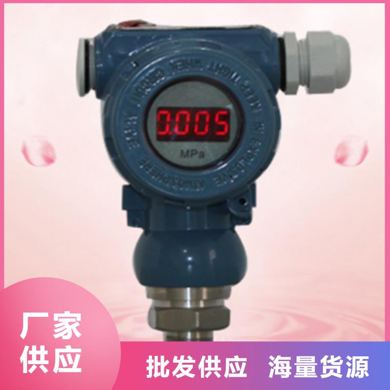 批发NPDL-10156111找索正自动化仪表有限公司严格把控每一处细节