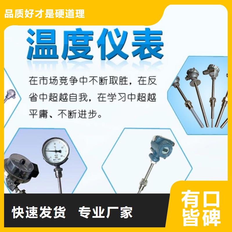 厂家定制巡检仪SWP-MD814-81-23-HH全品类现货