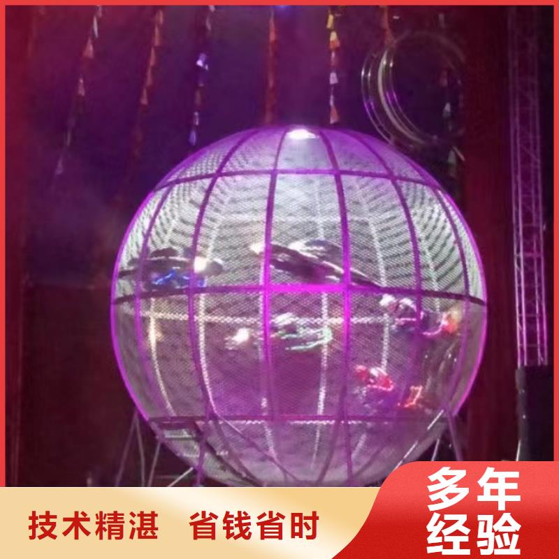活体企鹅出租活动庆典技术精湛