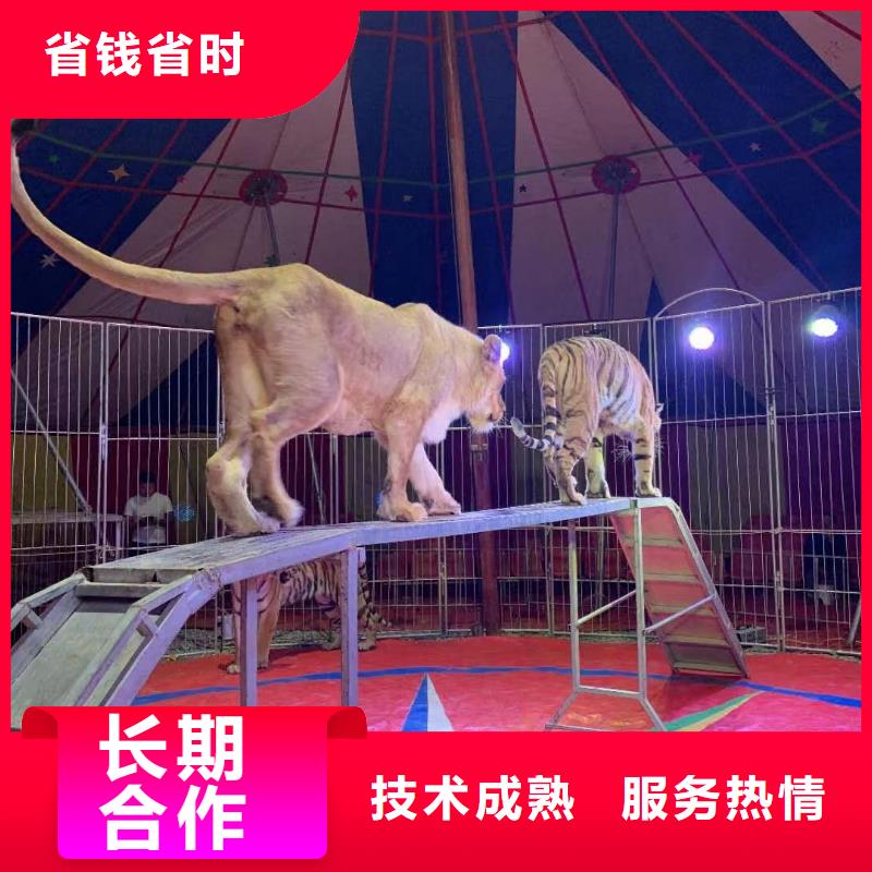 海洋生物鱼展览暖场方案技术成熟