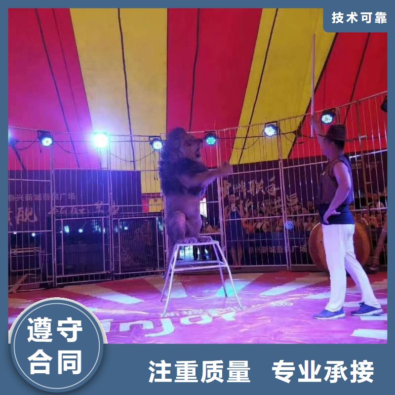 企鹅租赁活动方案明码标价