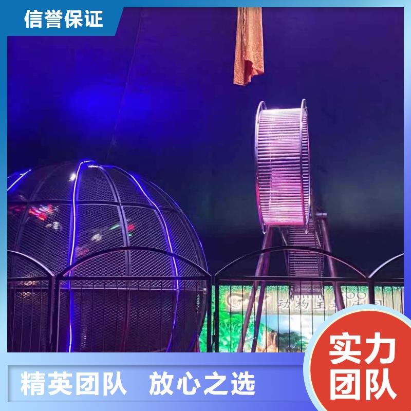 海洋生物展出租庆典活动专业可靠