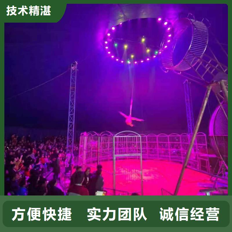 哪有出租鳄鱼表演的暖场方案本地制造商