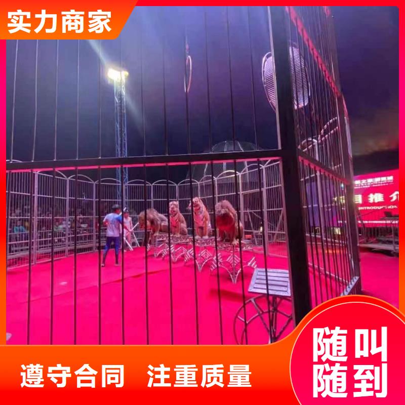 鳄鱼表演出租暖场方案服务周到