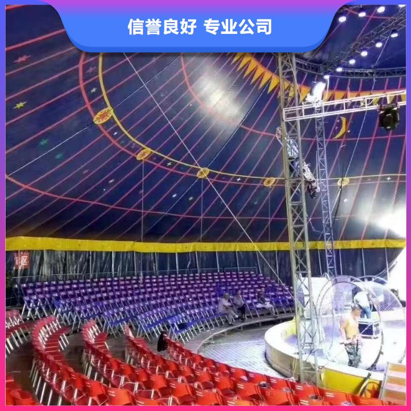 羊驼租赁活动庆典本地生产商