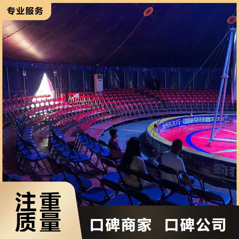 哪里有出租羊驼的一手资源价格公道