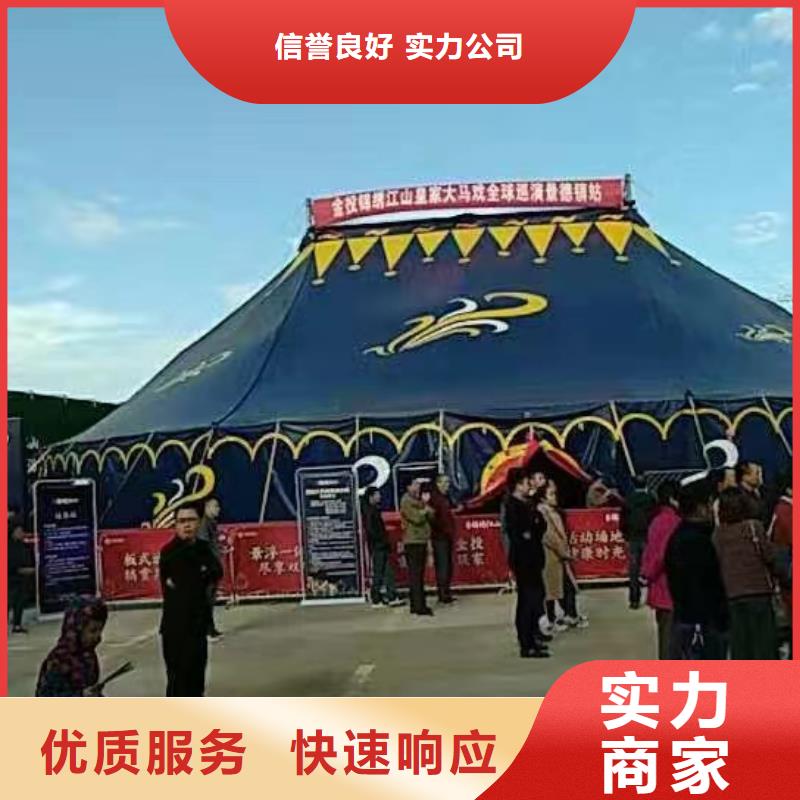 小马戏表演租赁服务全国随叫随到
