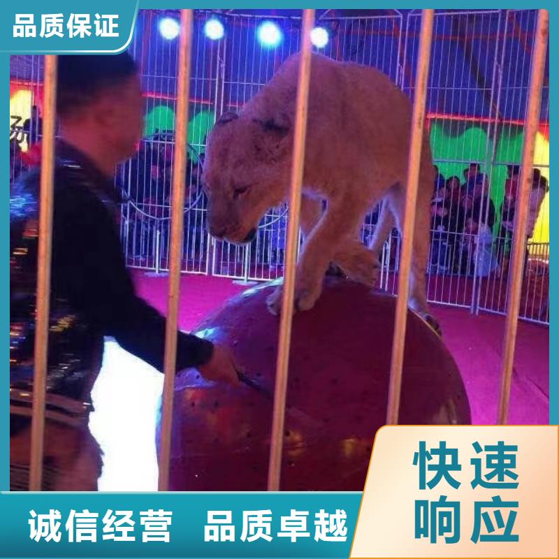 动物租赁当地生产商