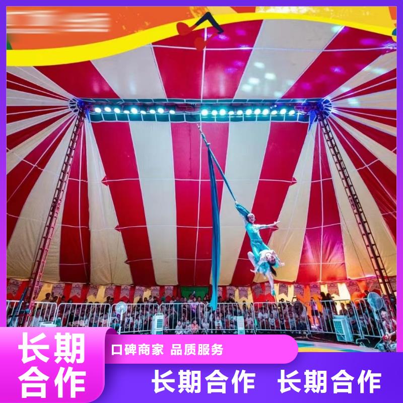 马戏团/羊驼羊驼出租齐全技术好